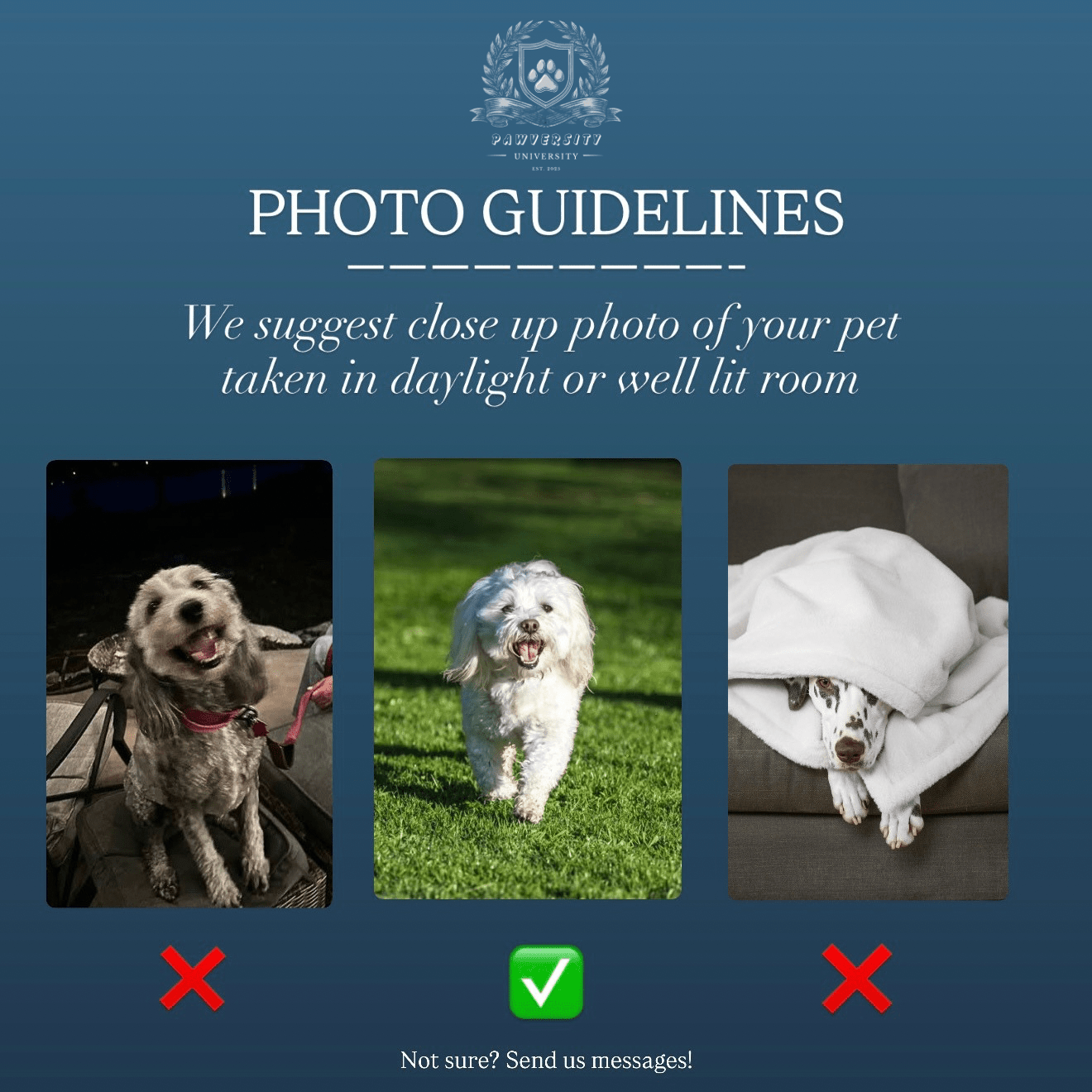 Personalized Pillow Double-Side Printed - Team Jersey Department | Upload Your Pet Photo & Name