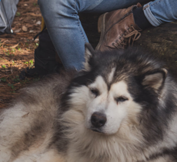 Before transformation