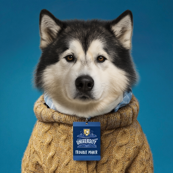 After transformation