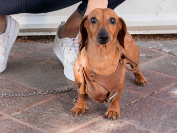 Before transformation