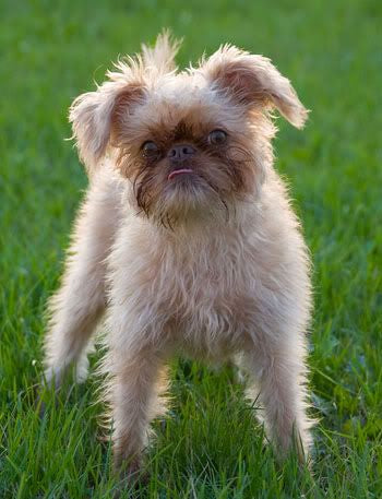 Before transformation