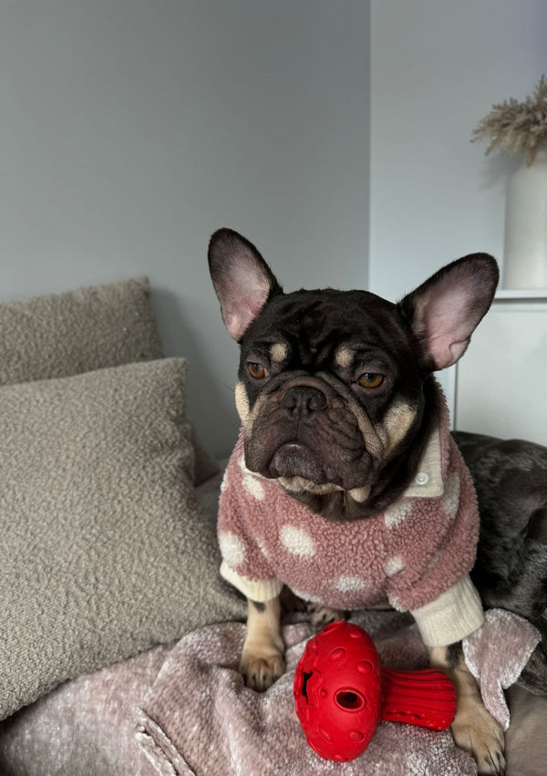 Before transformation